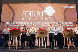 小语种翻译案例-2013 葡策中国 葡萄酒未来十年发展趋势国际高峰论坛