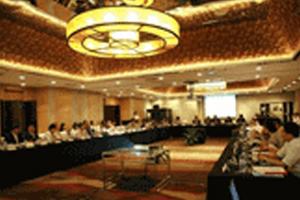 能源翻译案例-2010 中国低碳电力的政策选择项目研讨会